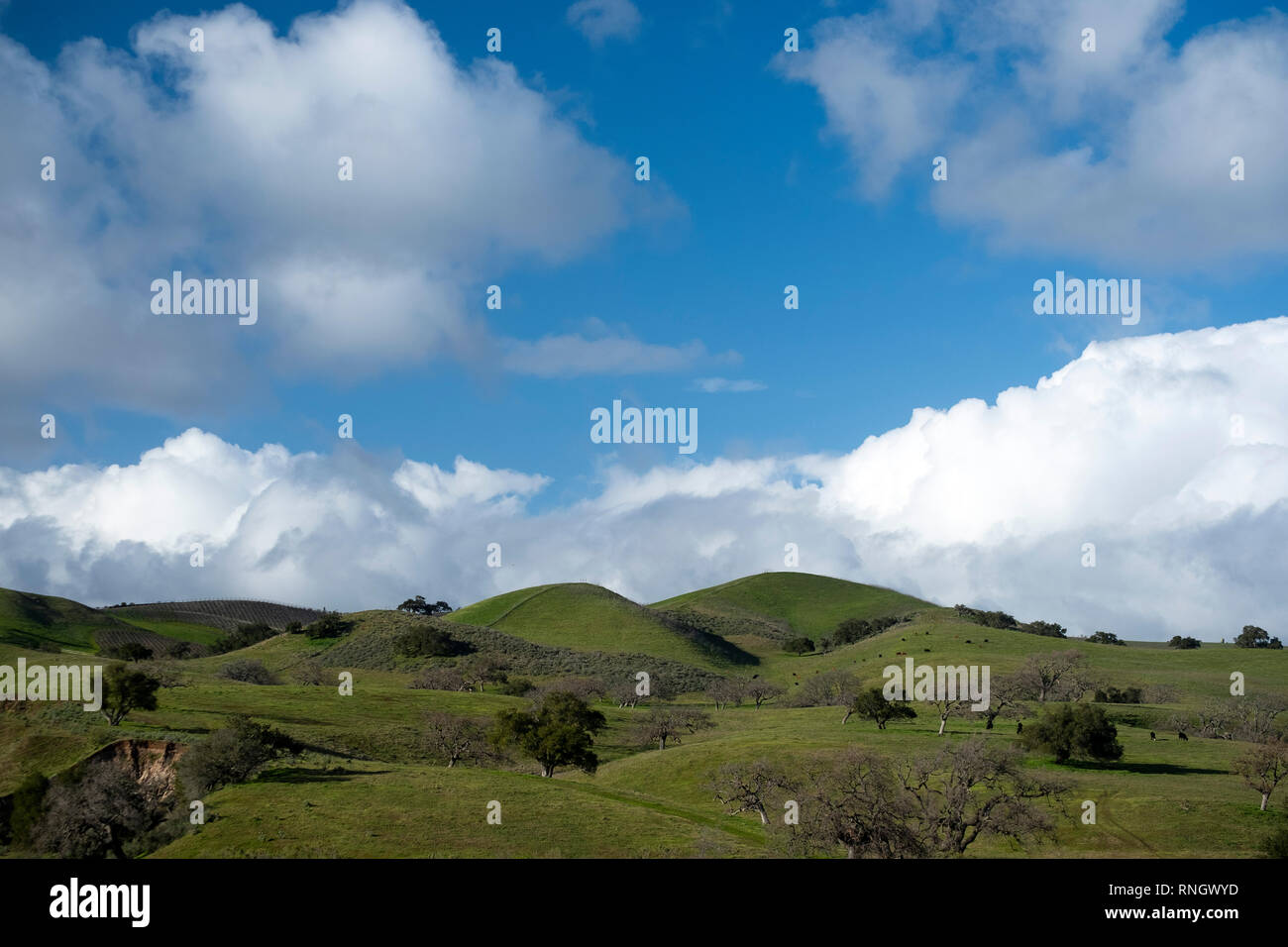 Green rolling hills blue sky hires stock photography and images Alamy