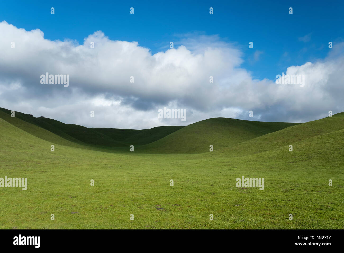 abstract rolling hills pasture land Stock Photo