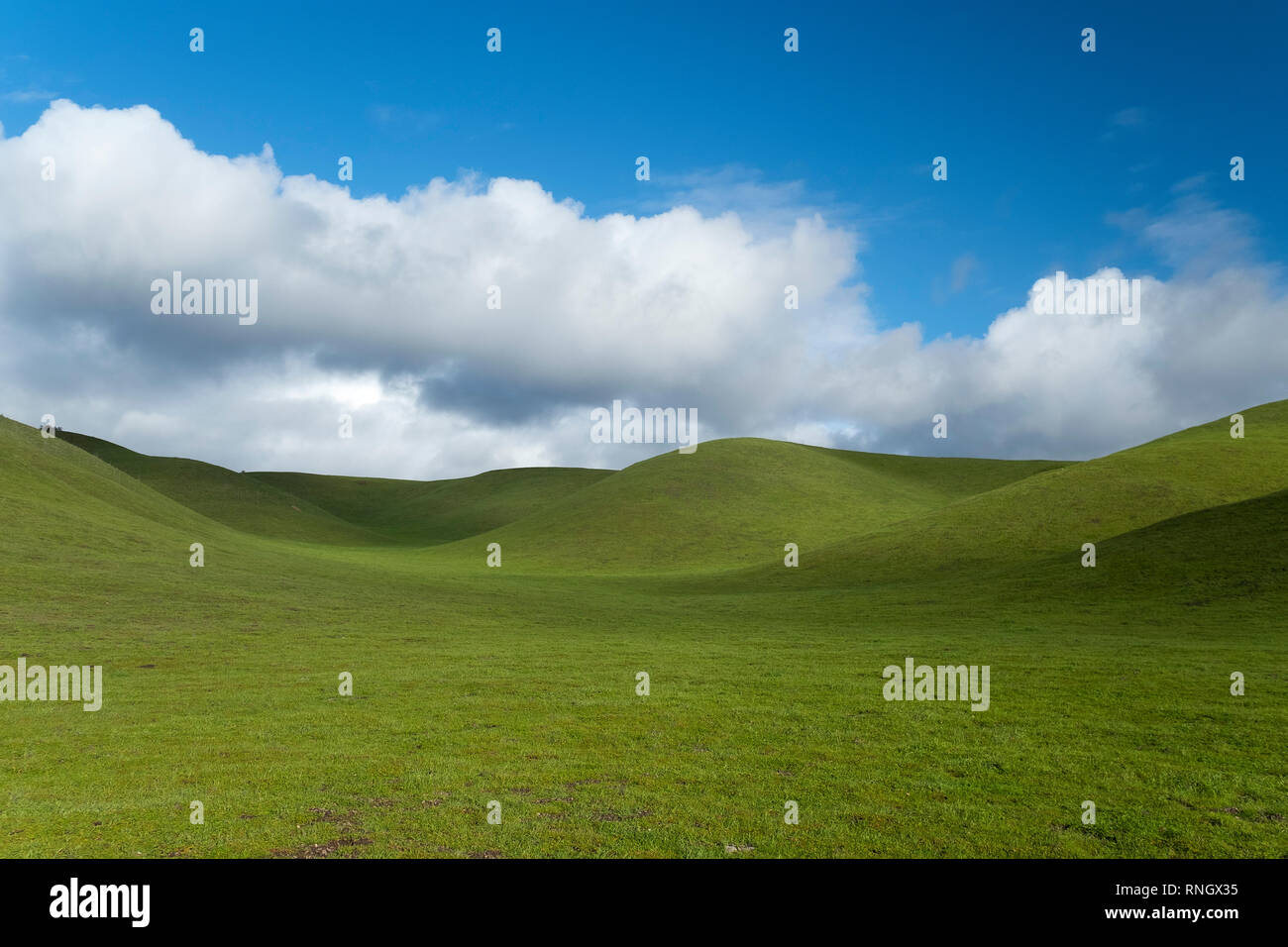 abstract rolling hills pasture land Stock Photo