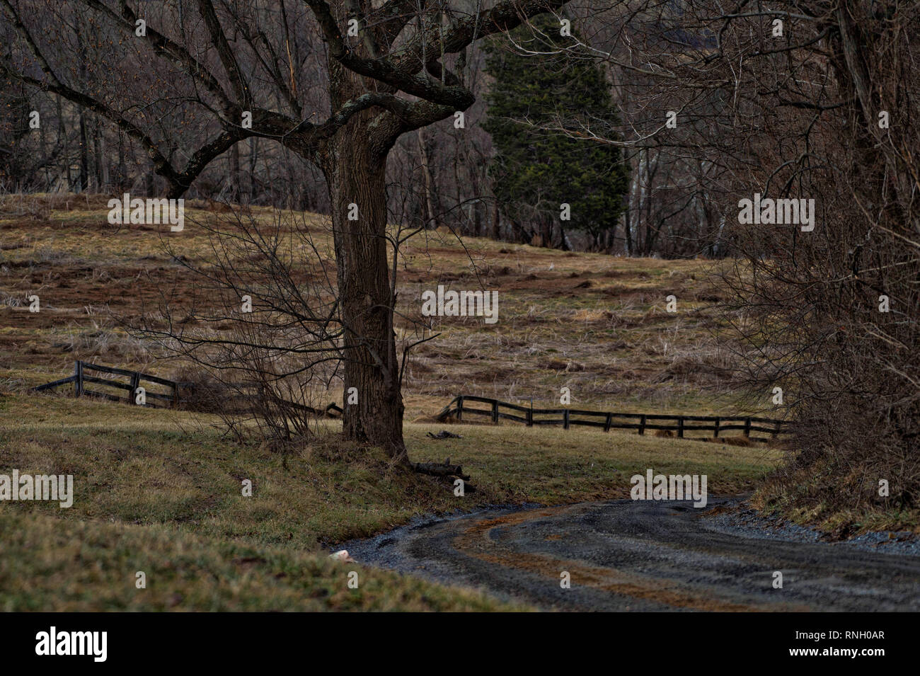 Taylorstown virginia hires stock photography and images Alamy