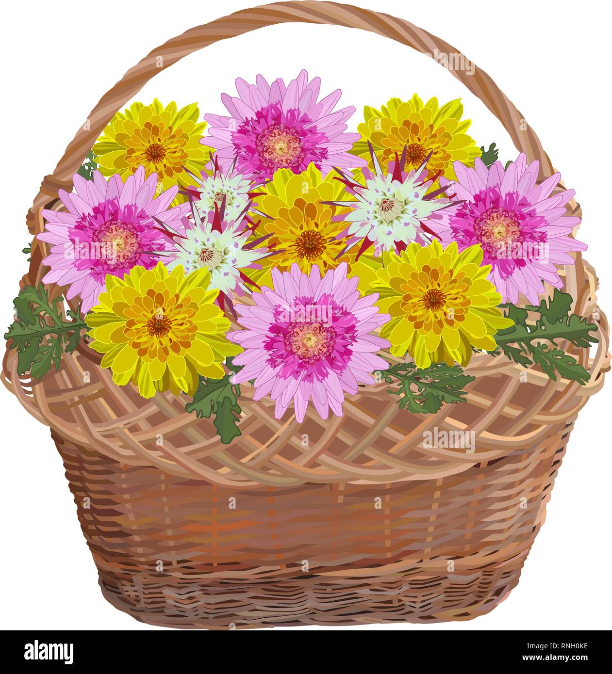 Wicker basket with chrysanthemum flowers. Vector flat illustration isolated on white background. Stock Vector