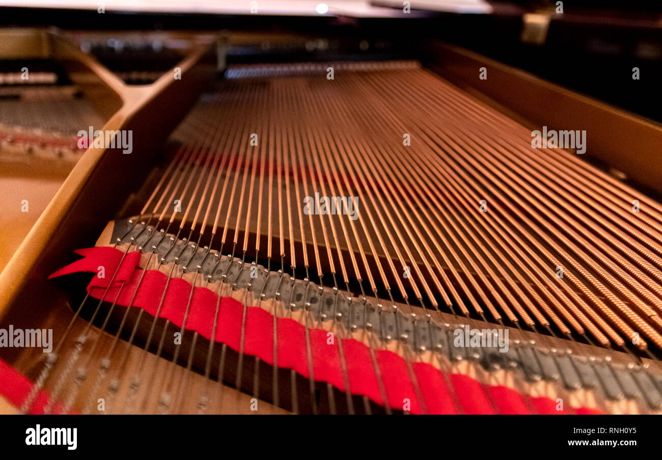 interior of a grand piano, piano harp seen from inside Stock Photo - Alamy