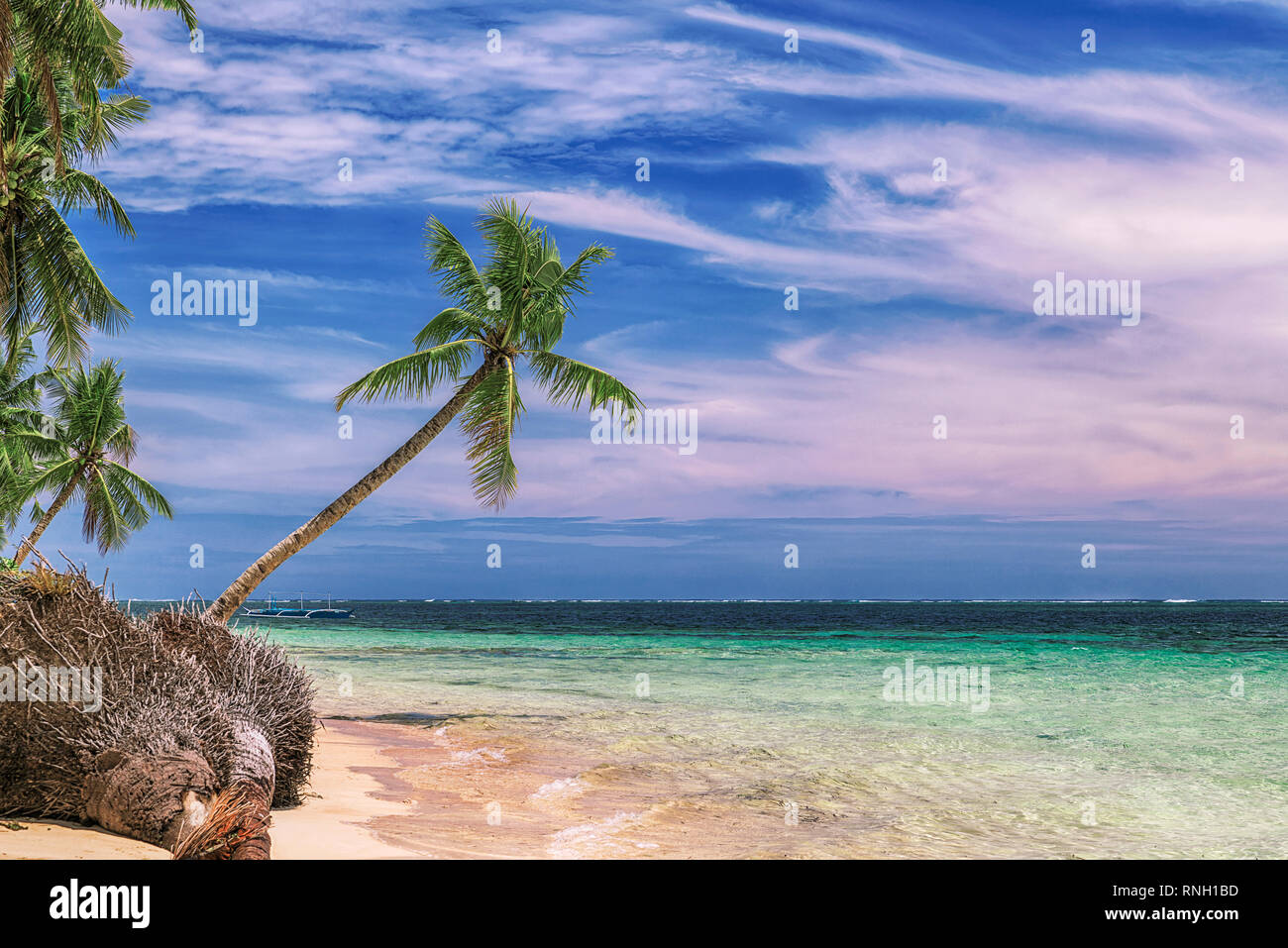 Beautiful beach. View of nice tropical beach with palms around. Holiday and vacation concept. Tropical beach at Philippines on the coast island Siarga Stock Photo