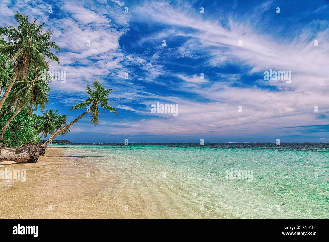 Beautiful beach. View of nice tropical beach with palms around. Holiday and vacation concept. Tropical beach at Philippines on the coast island Siarga Stock Photo