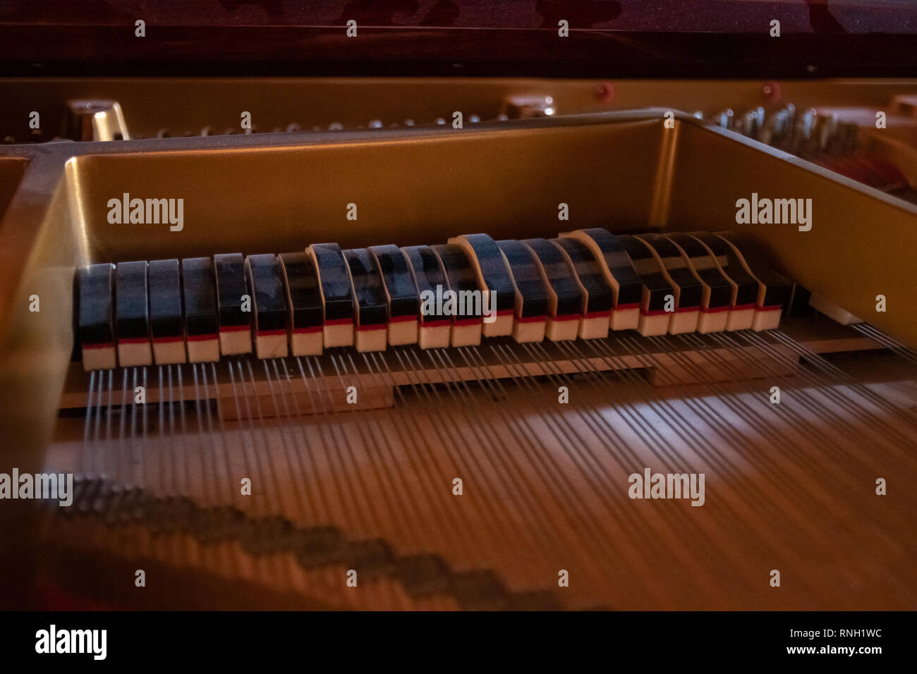 Beautiful interior piano, piano dampers, strings and harp. dampers