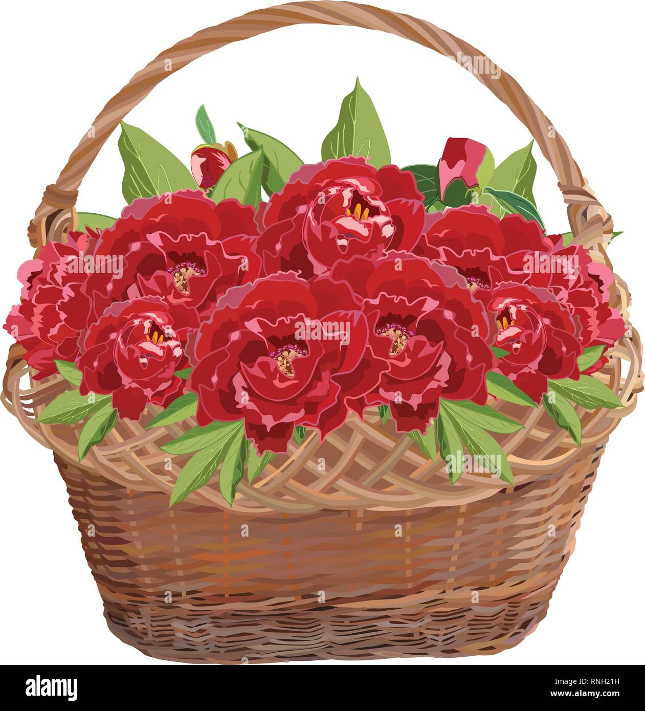 Wicker basket with red peony flowers. Vector flat illustration isolated on white background. Stock Vector