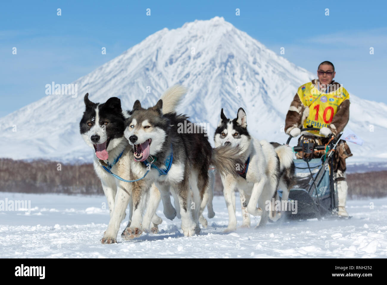Kamchatka Sled Dog Race, Russian Cup of Dog Sled Racing (snow