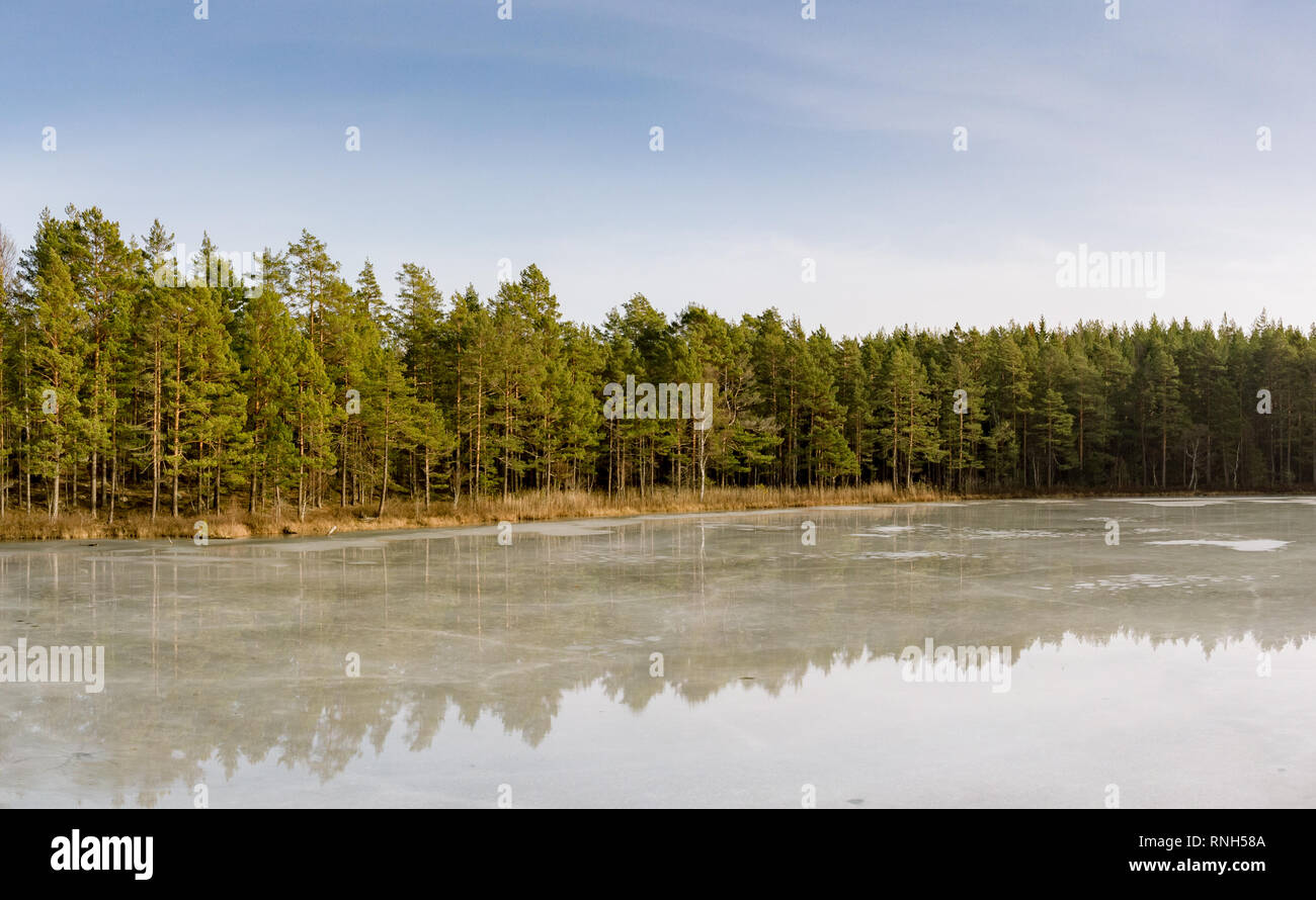 Frozen lake in the forest Stock Photo - Alamy