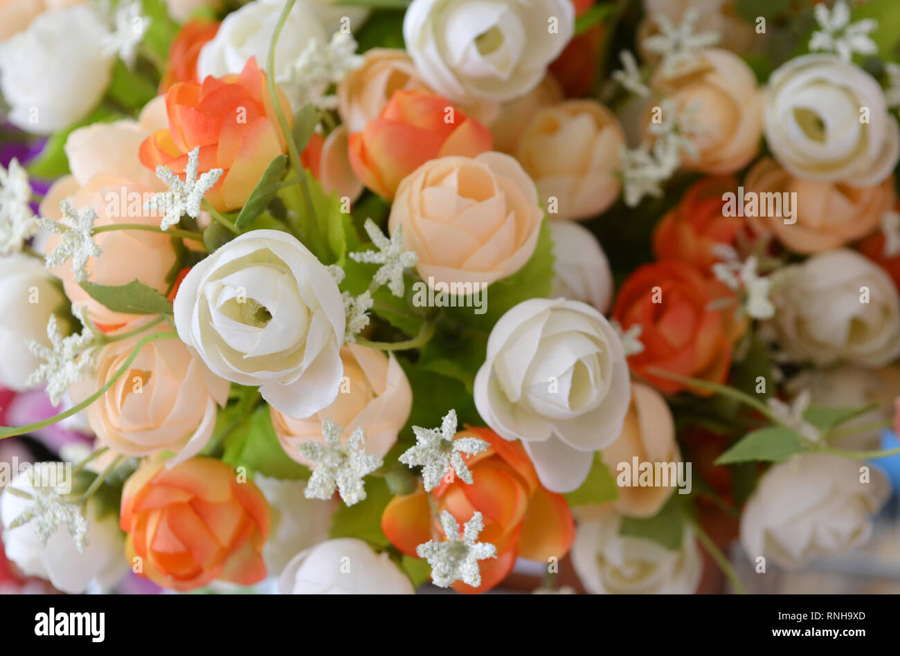 The background of the beautiful flowers in colorful Stock Photo - Alamy
