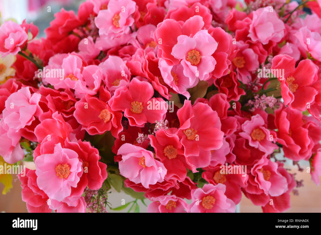 The background of the beautiful flowers in colorful Stock Photo - Alamy