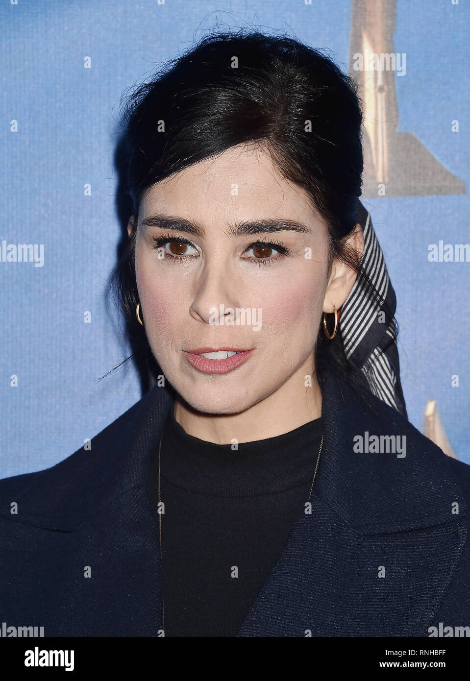 BEVERLY HILLS, CA - FEBRUARY 17: Sarah Silverman attends the 2019
