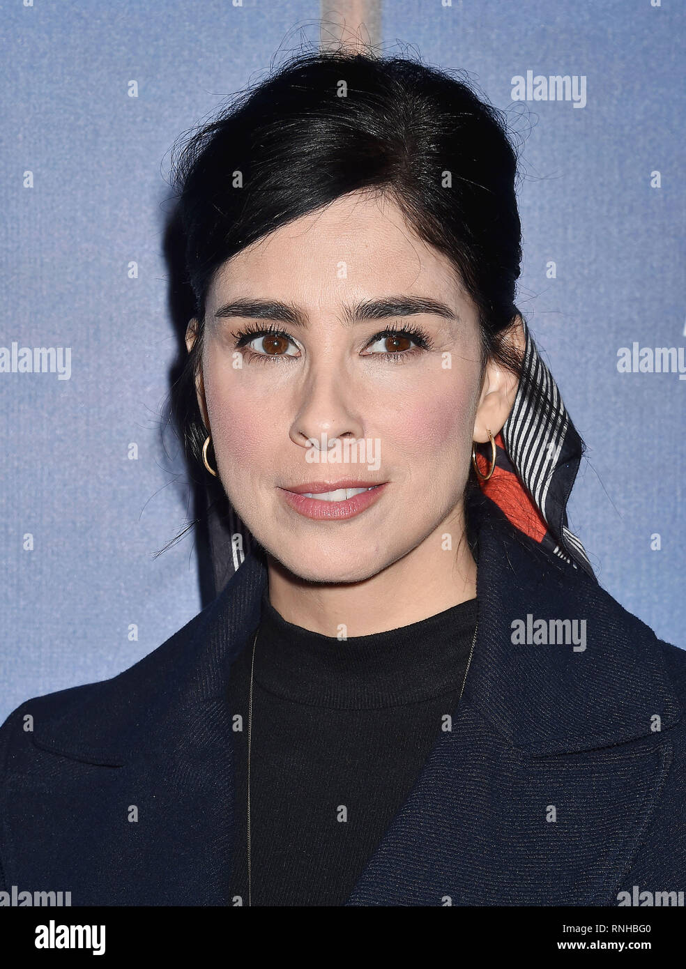 BEVERLY HILLS, CA - FEBRUARY 17: Sarah Silverman attends the 2019