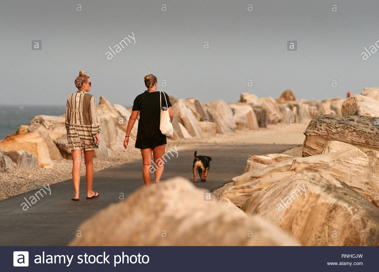 Two Young Women Walking A Dog Along The Long Break Wall At The
