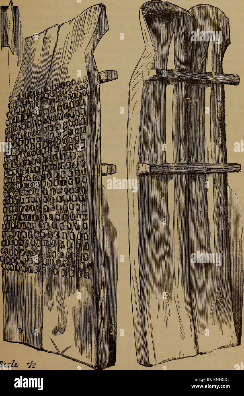 "The ancient stone implements, weapons, and ornaments, of Great Britain" (1872) Stock Photo