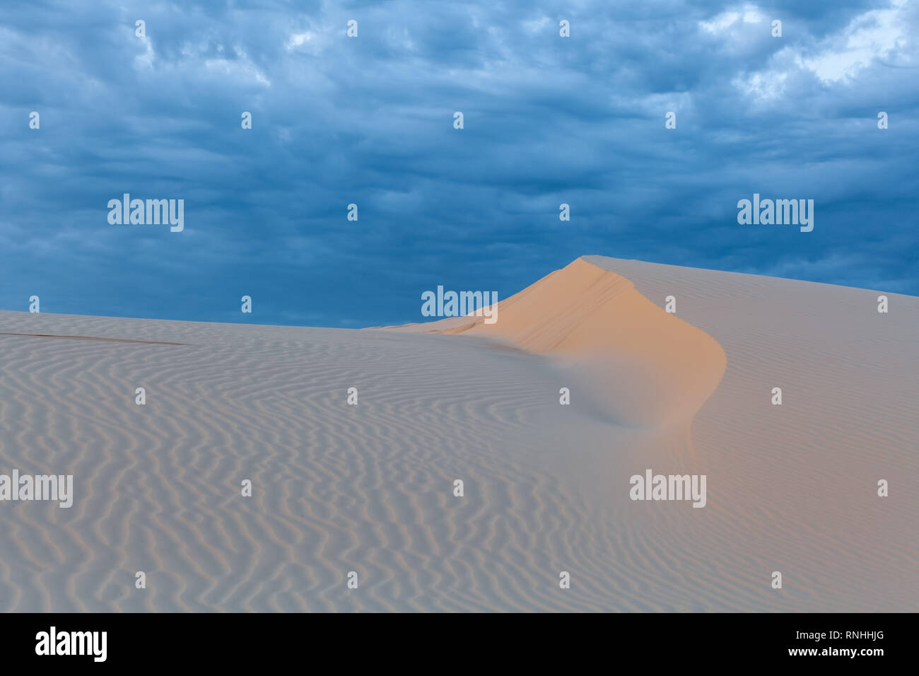 Beautiful pristine white sand dune at Anna Bay, New South Wales, Australia Stock Photo