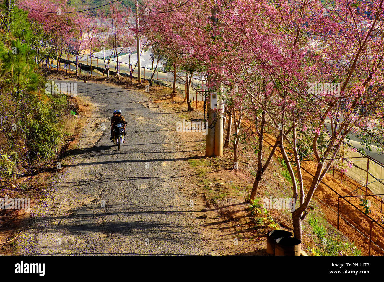 Da lat motorbike hires stock photography and images Alamy