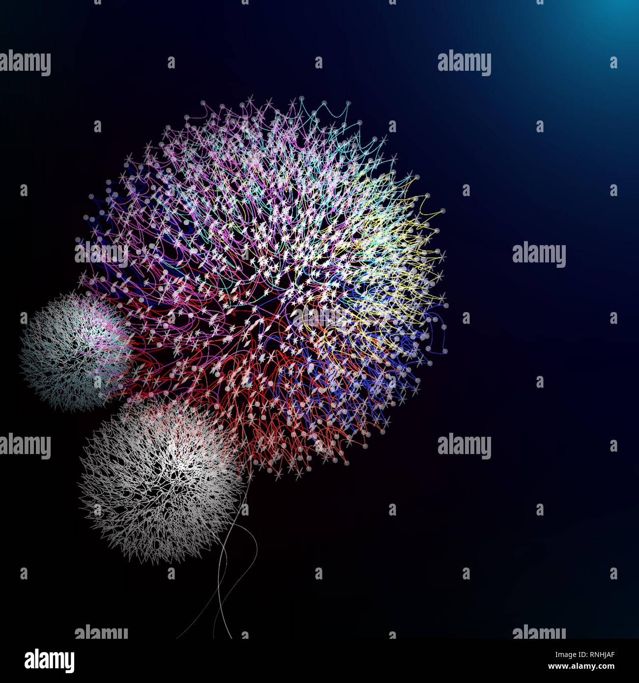 Abstract dandelion in vector art Stock Vector