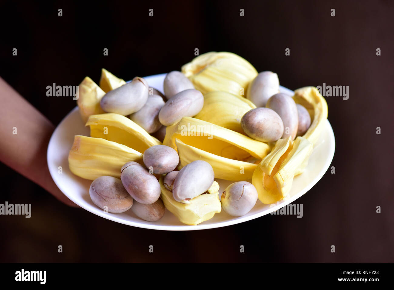 Jack fruit seeds and flesh Kerala.The word 'jackfruit' comes from Portuguese jaca, which in turn is derived from the Malayalam language term chakka Stock Photo
