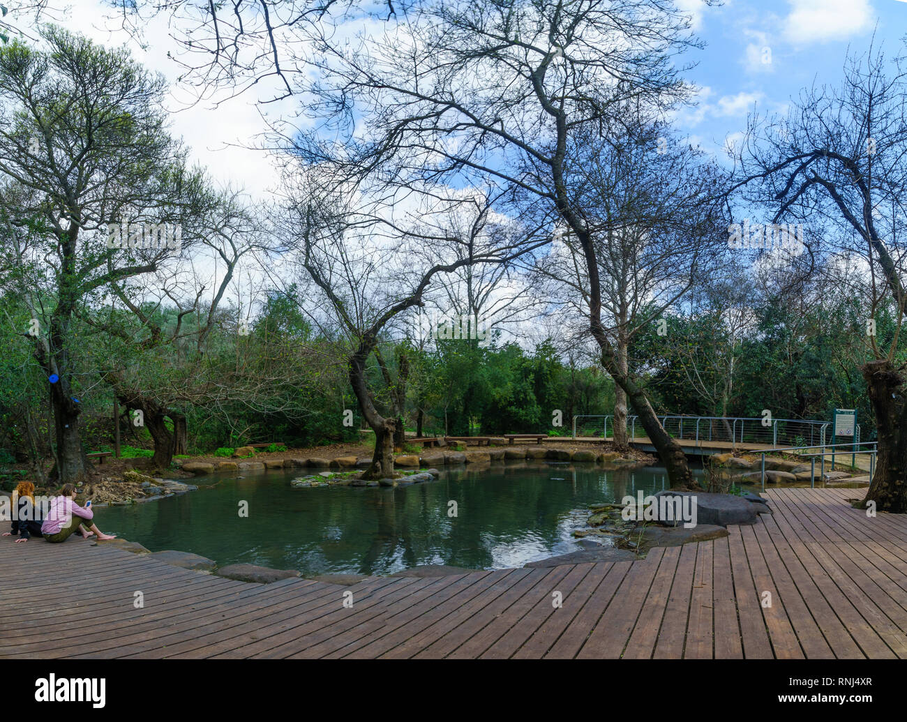 Tel Dan Spring Dan, Israel - February 12, 2019: The wading pool in Tel Dan nature ...