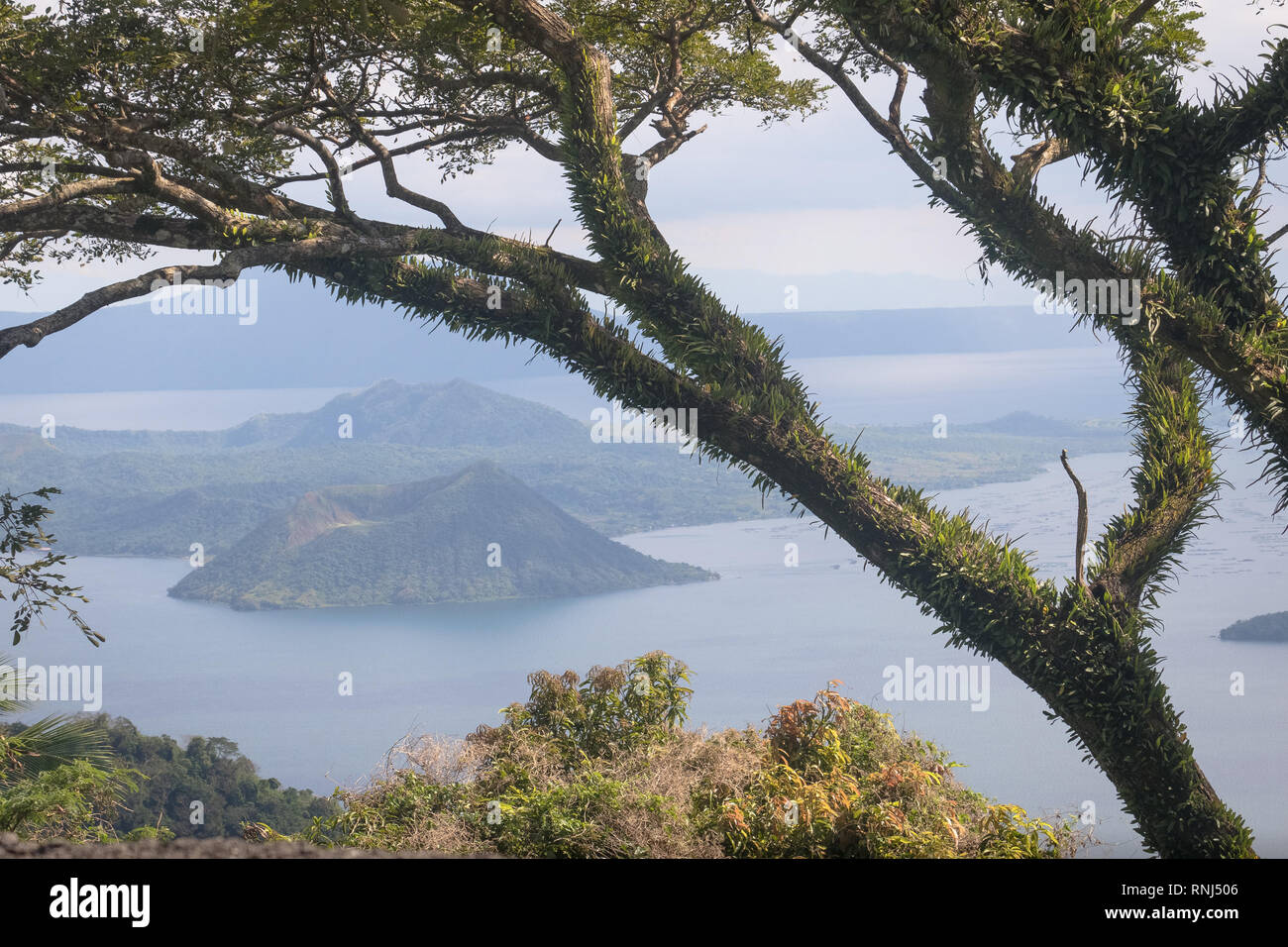 Exotic Islands Landscape Through Trees - Taal Volcano, Tagaytay, Philippines Stock Photo