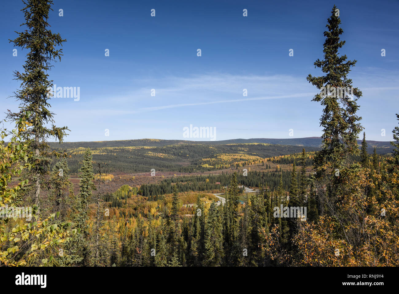 Town of Chicken, Taylor Highway, Tok to Eagle, Alaska, USA Stock Photo