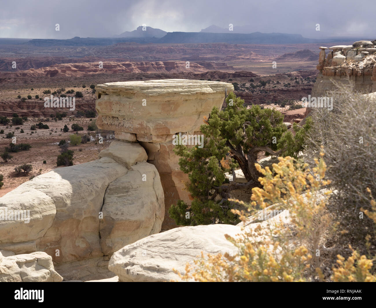 Golden canyon boulders hi-res stock photography and images - Alamy