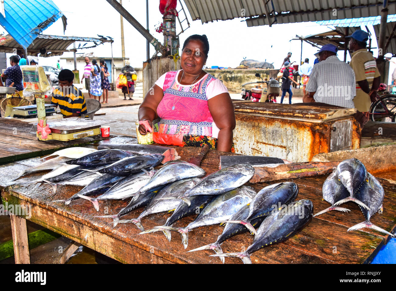 Sri Lankan woman on stall at Negombo Fish Market, Negombo, Sri Lanka Stock Photo