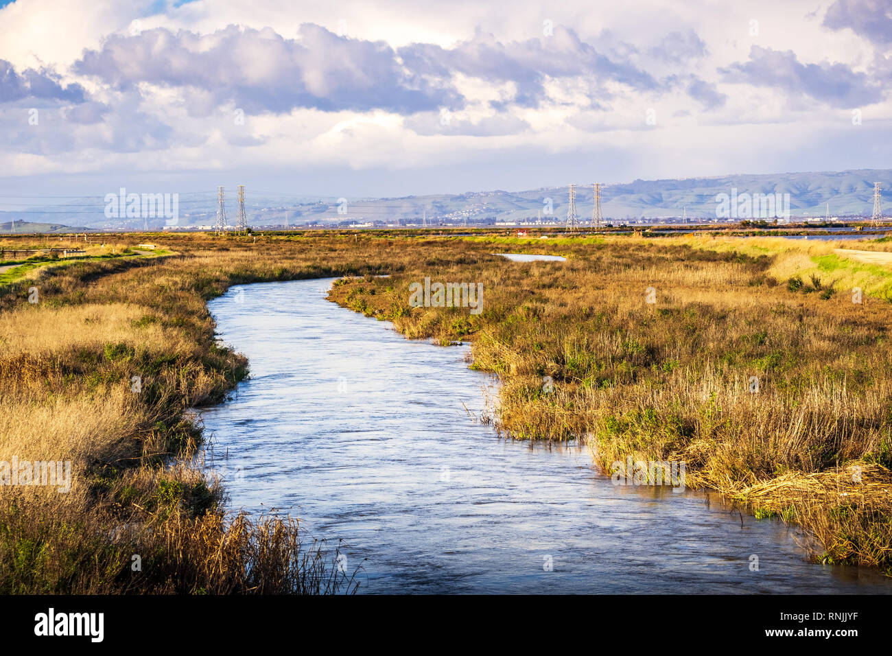 Creek running among the marshes of San Francisco bay, Mountain View, California Stock Photo