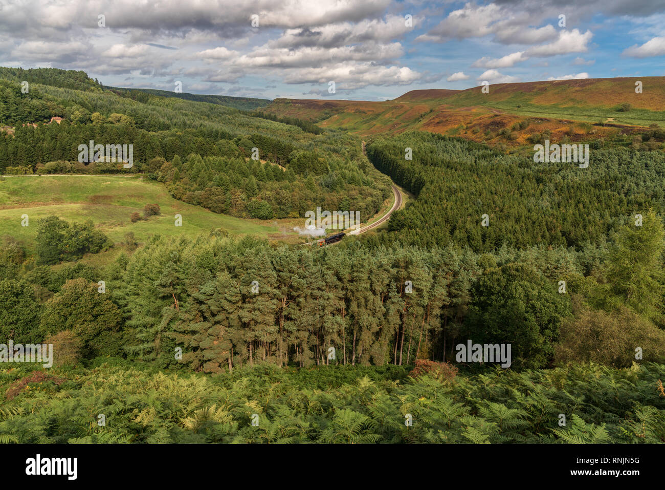 Near Levisham, North Yorkshire, England, UK September 13, 2018 A