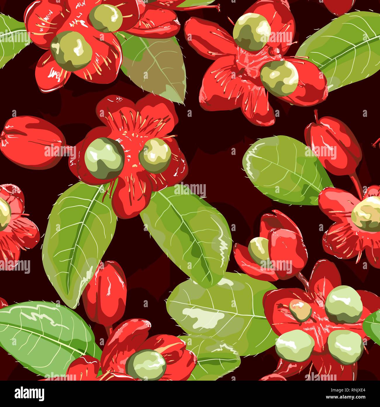 Red flower on seamless background Stock Vector Image & Art - Alamy