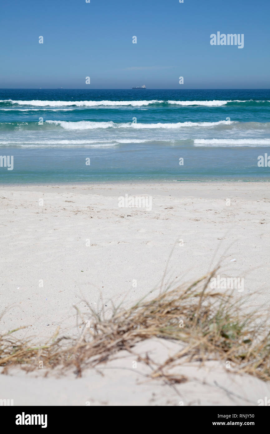 Beach Seashore with Wild Grass Stock Photo
