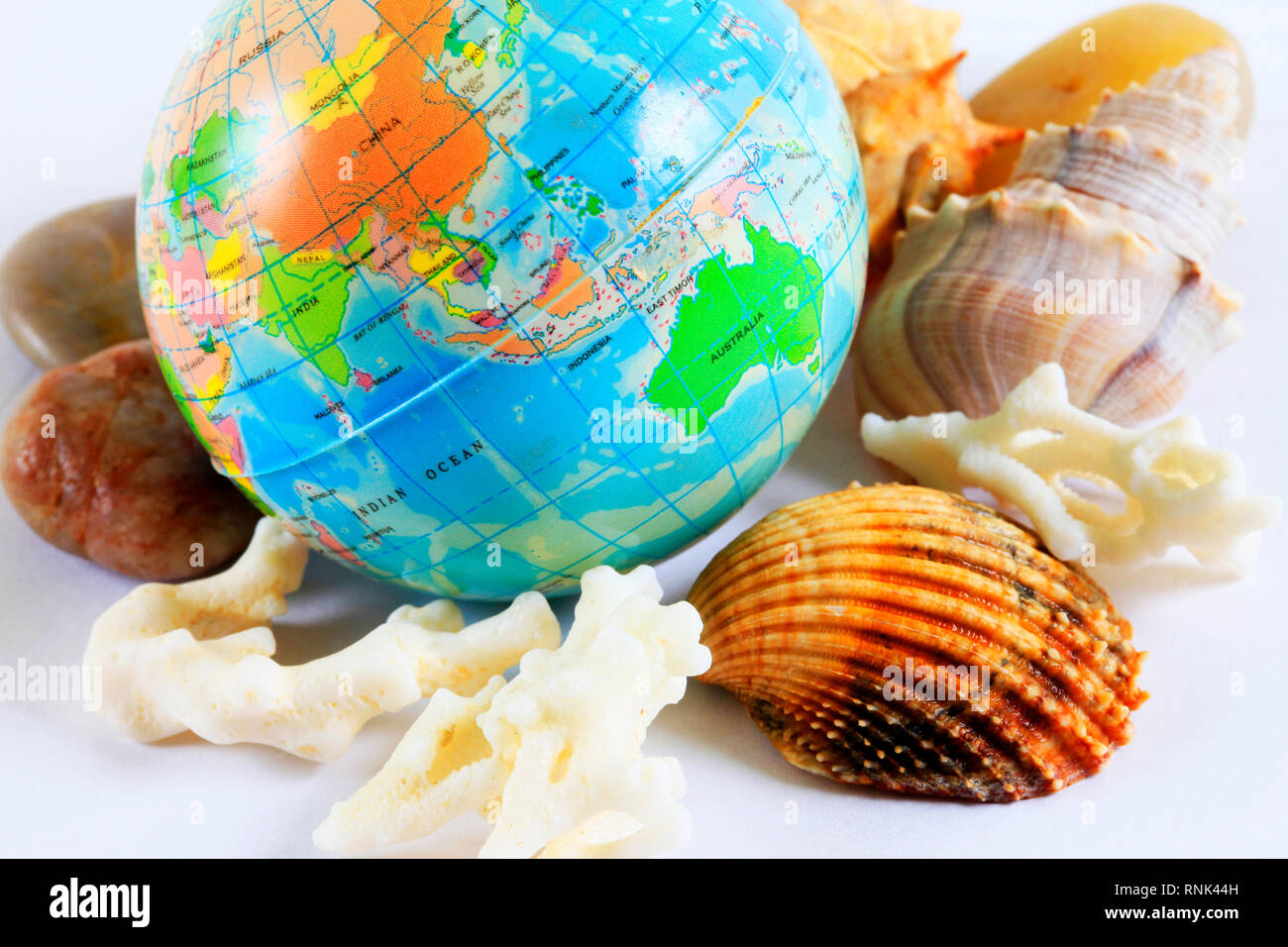 globe with corals and shells in the studio Stock Photo