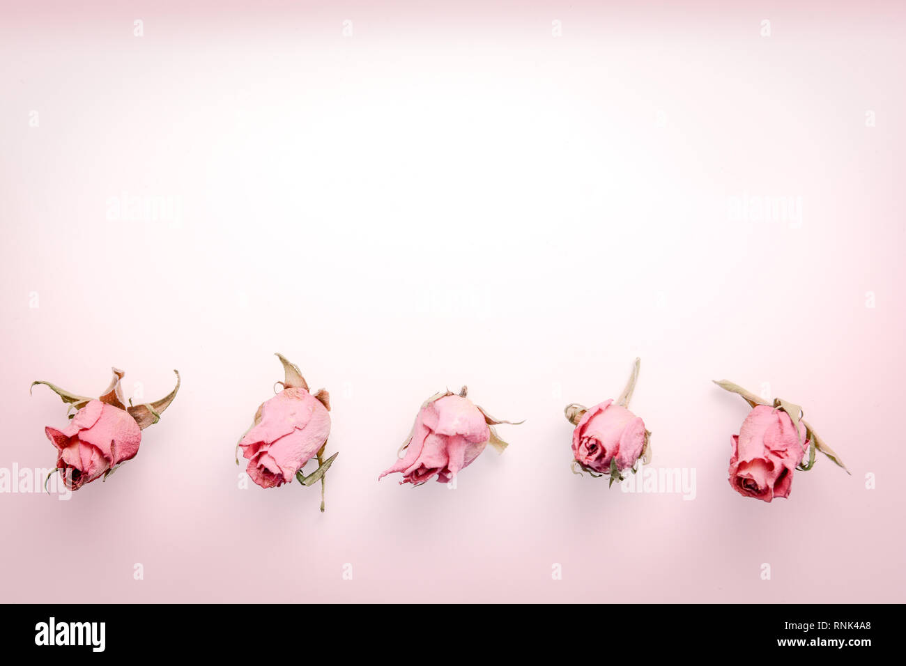 Dried flower still life with rose flowers Stock Photo - Alamy