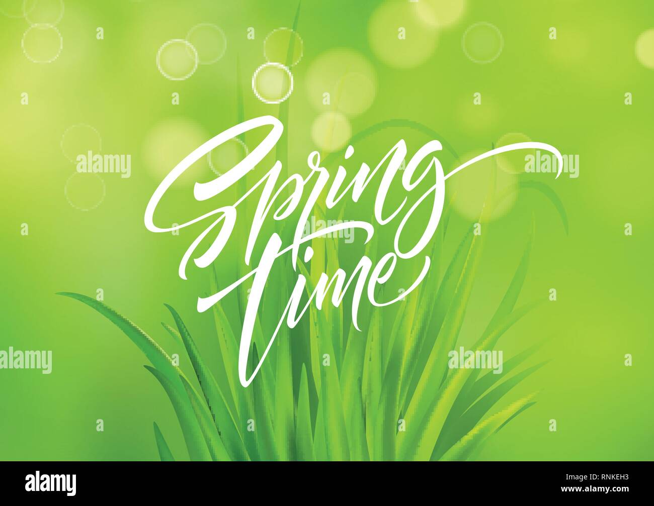 Spring time handwritten calligraphy lettering with grass background. Vector illustration Stock Vector