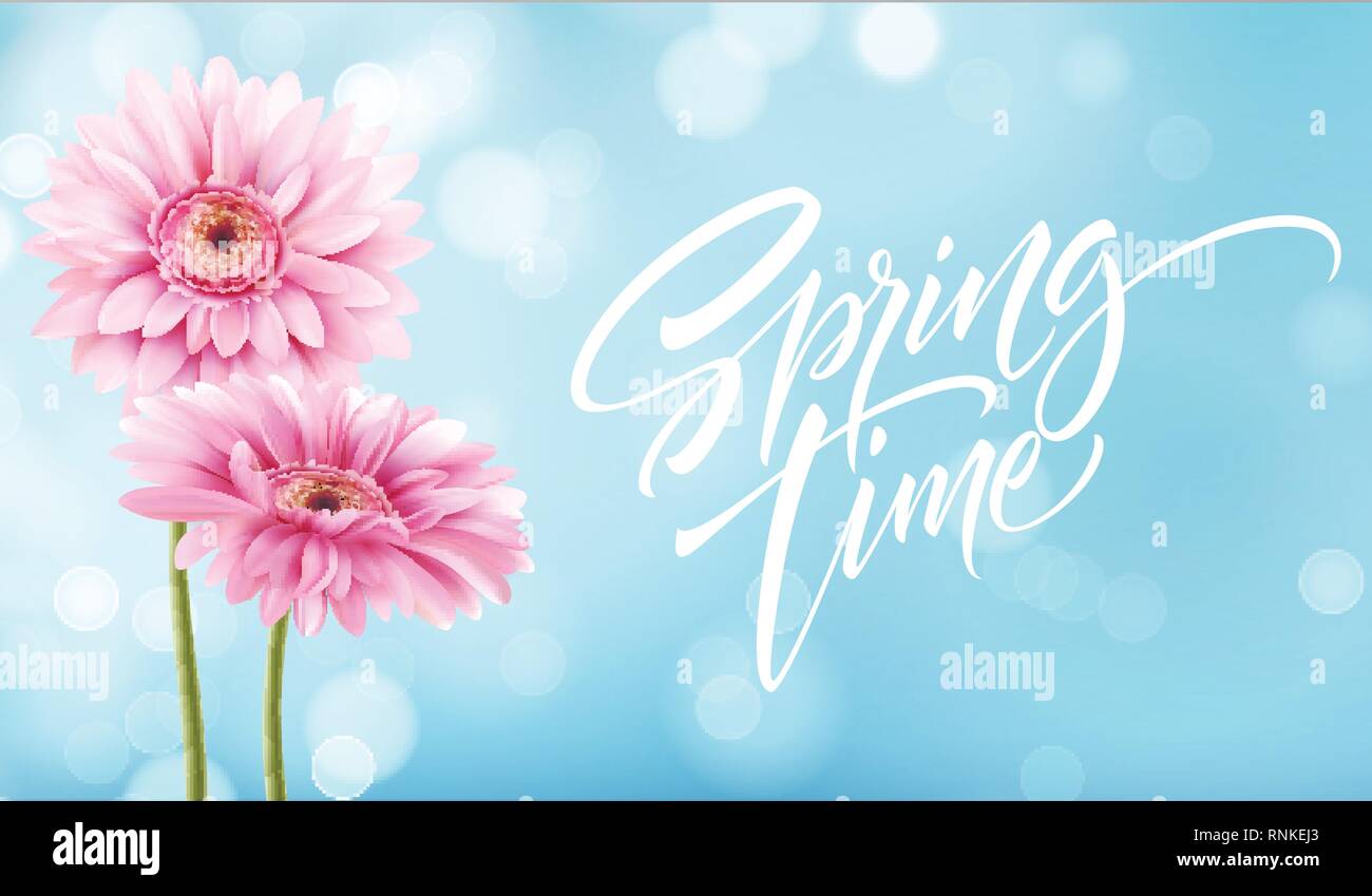 Gerbera Flower Background and Spring time Lettering. Vector Illustration Stock Vector
