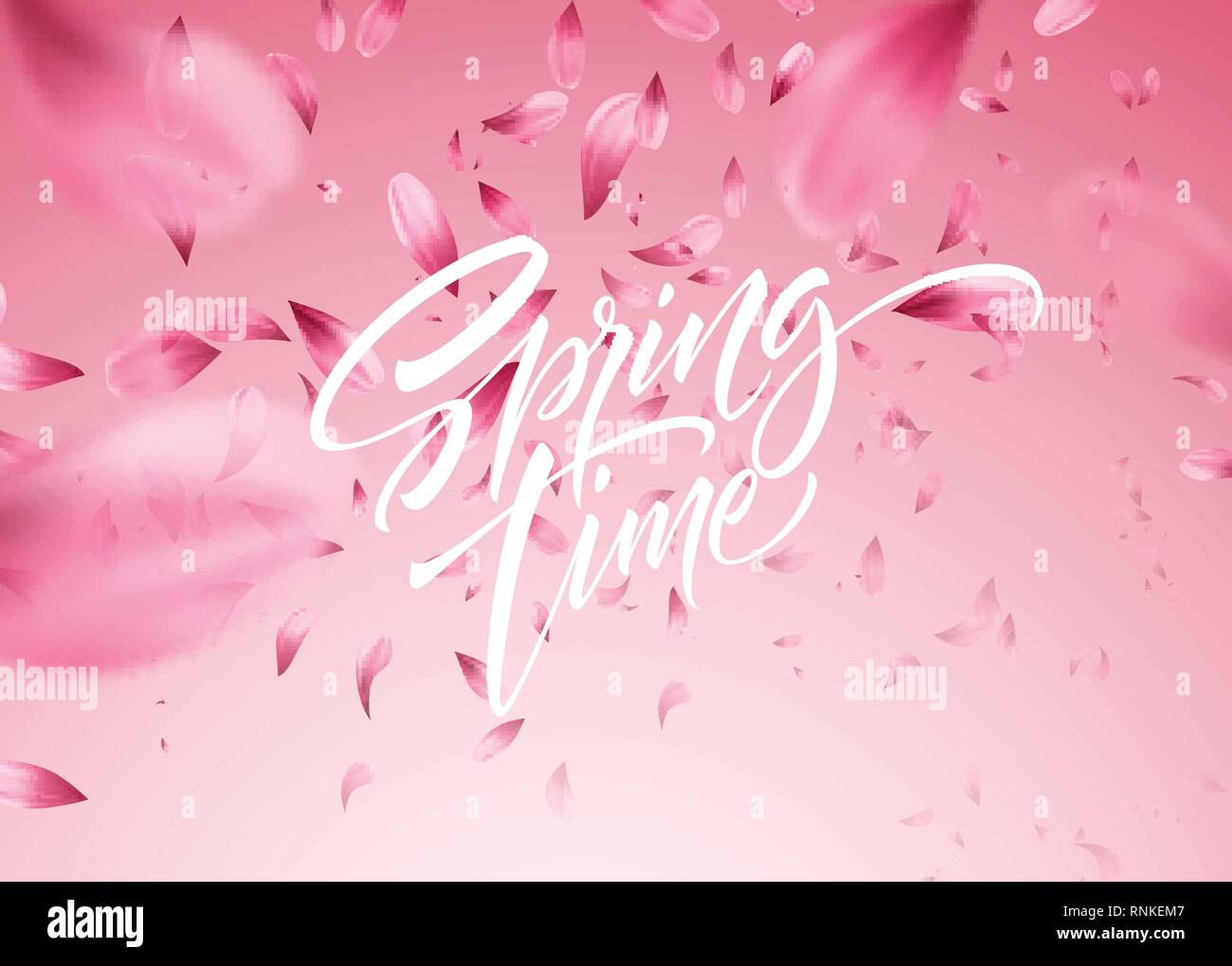 Cherry blossom petal background with Spring time lettering. Vector illustration Stock Vector