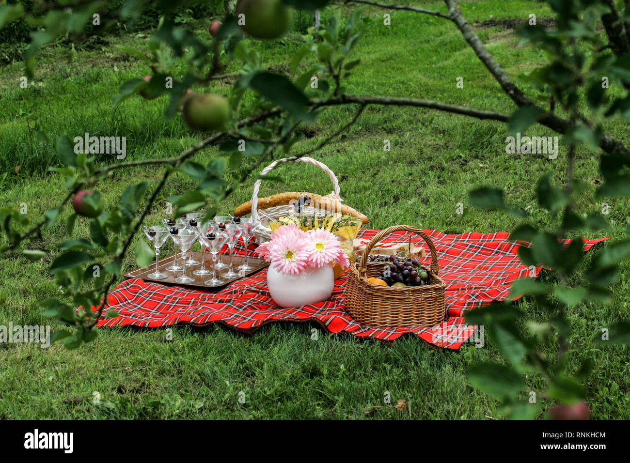 Picnic basket service hi-res stock photography and images - Alamy