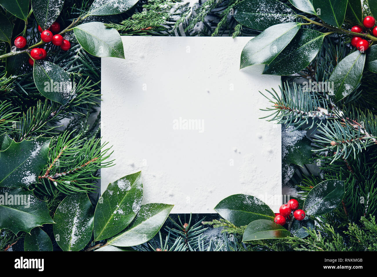 Holly border white background hi-res stock photography and images - Alamy