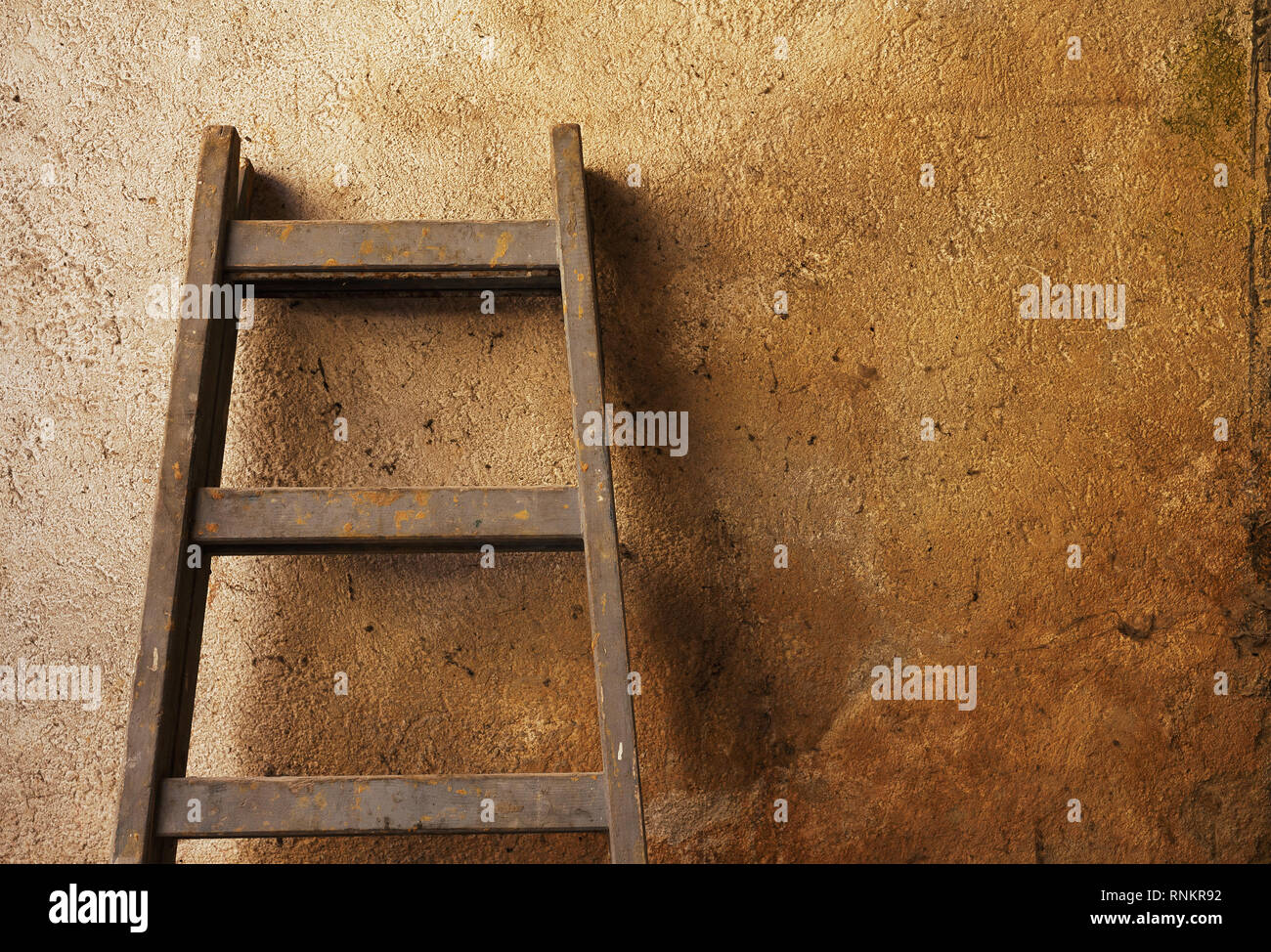 Country life, wooden ladder in front of an old dirty wall. Stock Photo