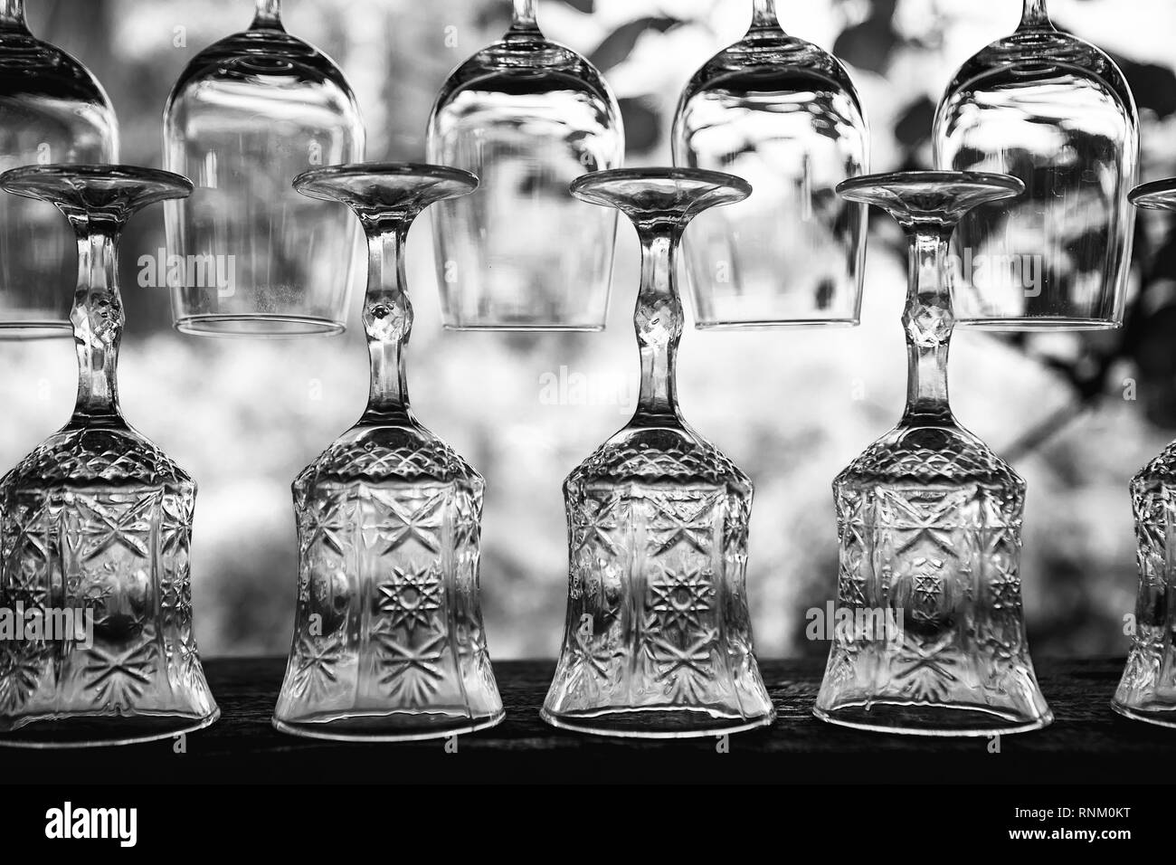 Empty clean glasses in tropical bar Stock Photo