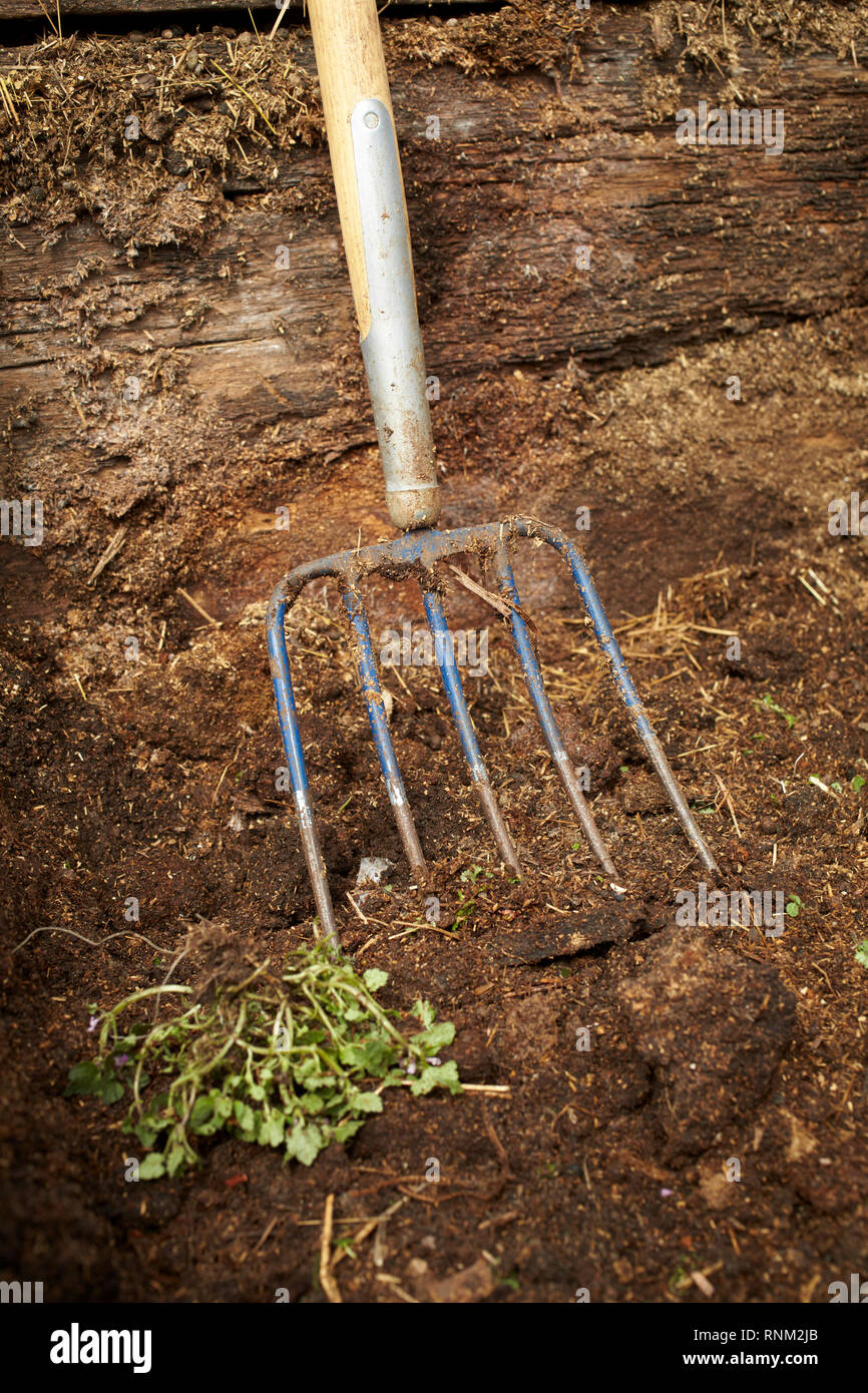 Pitchfork in compost heap. Germany.. Stock Photo
