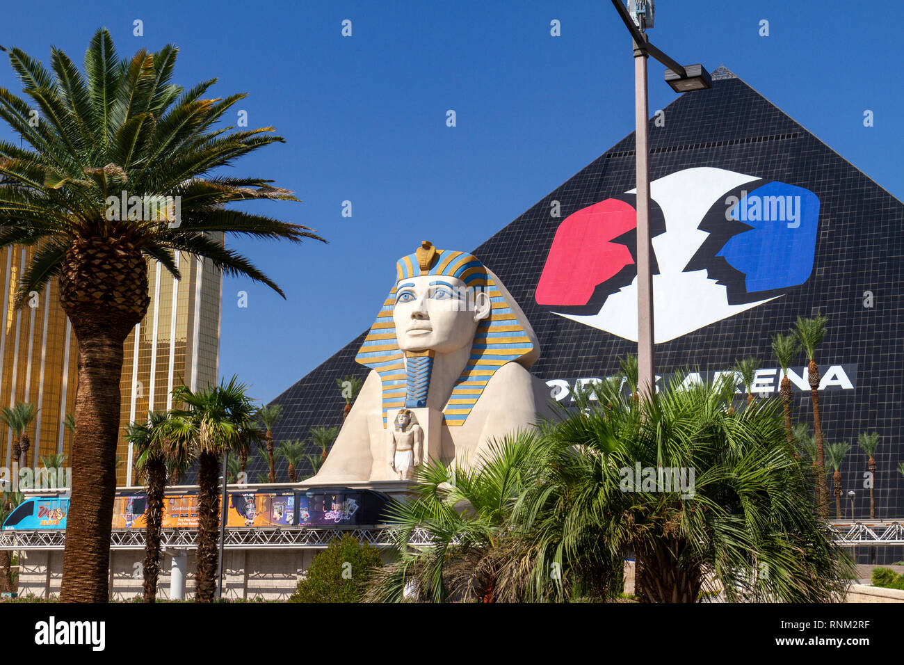 The Sphinx outside the Luxor Hotel, Las Vegas (City of Las Vegas), Nevada, United States. Stock Photo