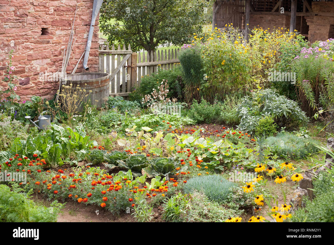 Cottage garden in summer, Germany. Stock Photo