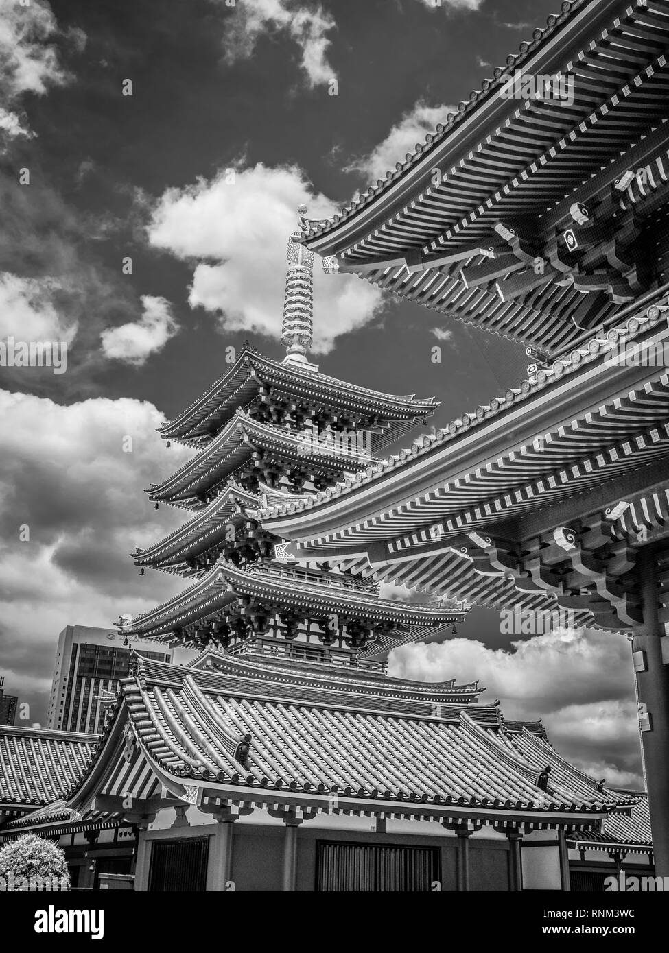 Sensoji Temple also called Asakusa Temple in Tokyo Stock Photo Alamy