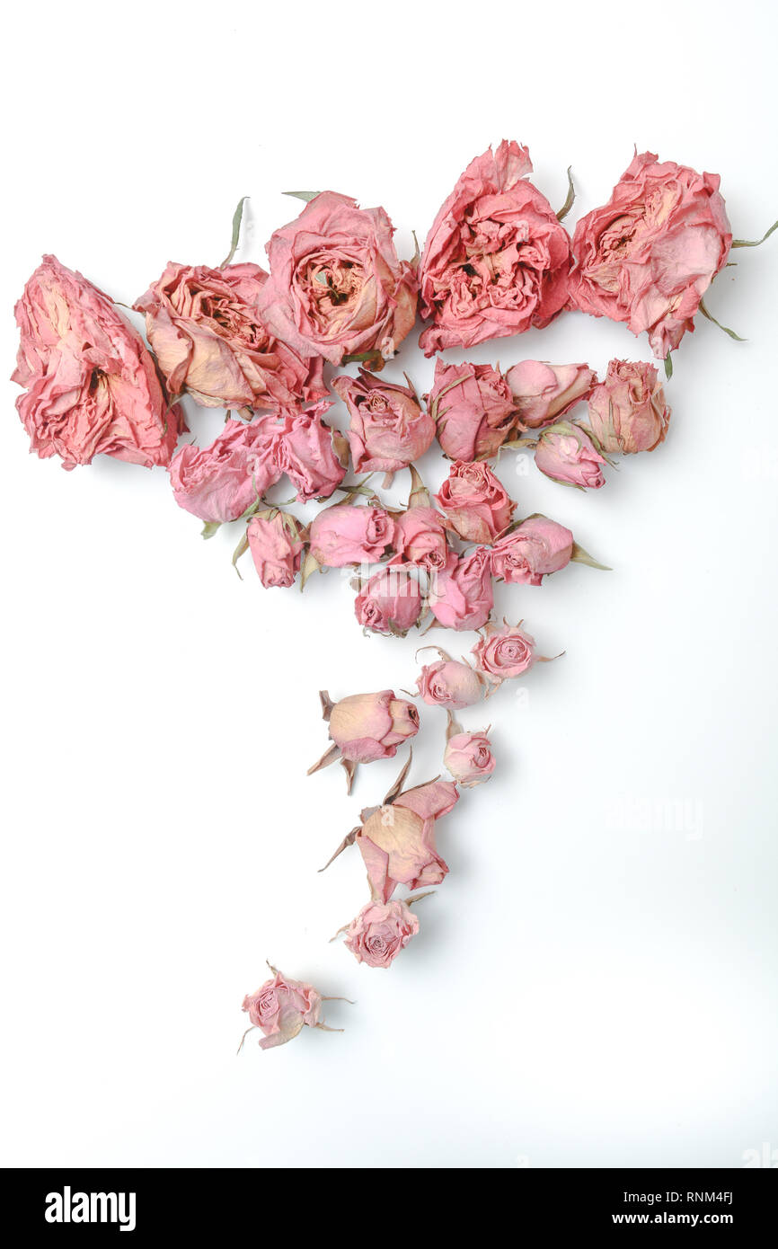 Dried flower still life with rose flowers Stock Photo - Alamy