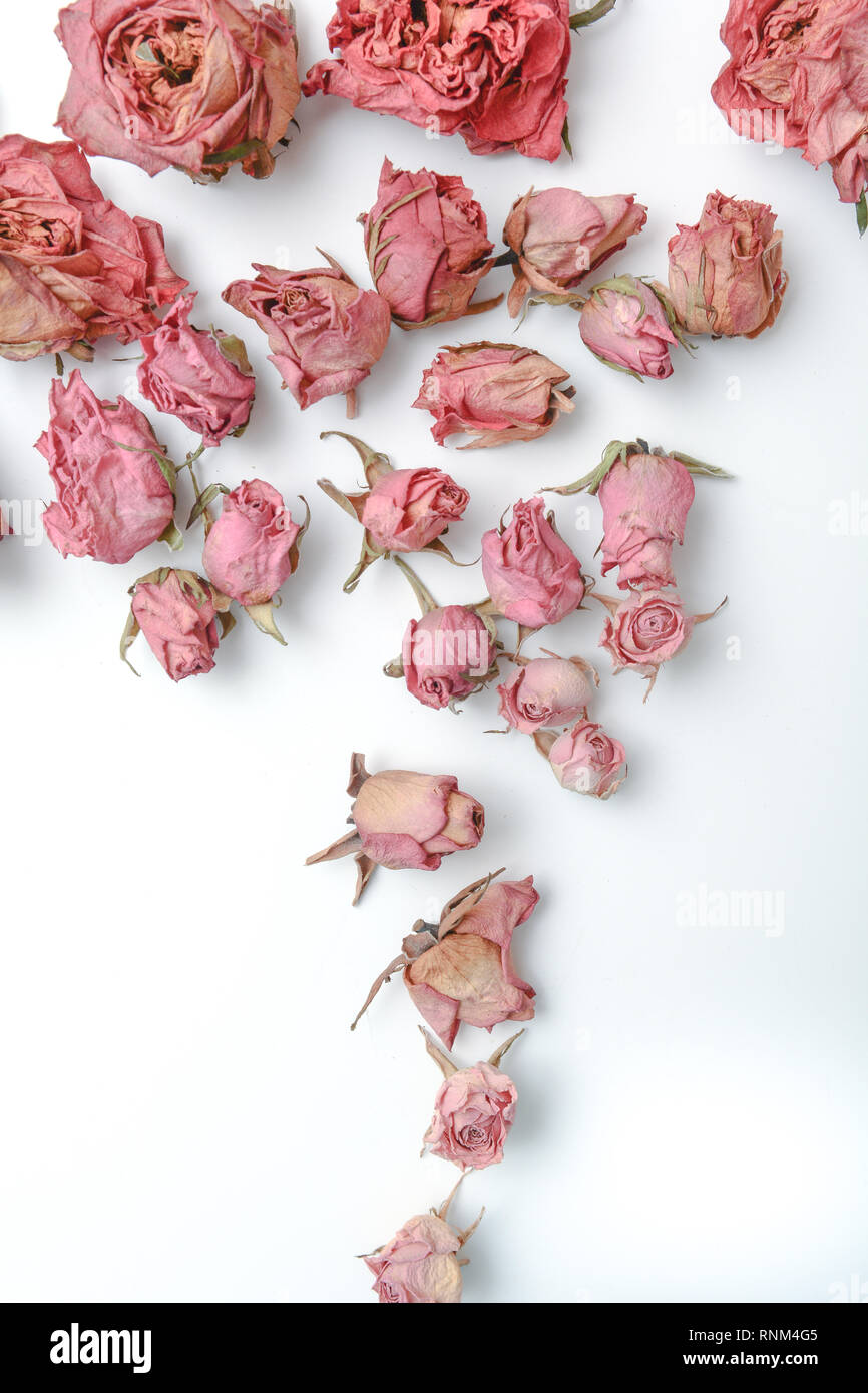 Dried flower still life with rose flowers Stock Photo Alamy