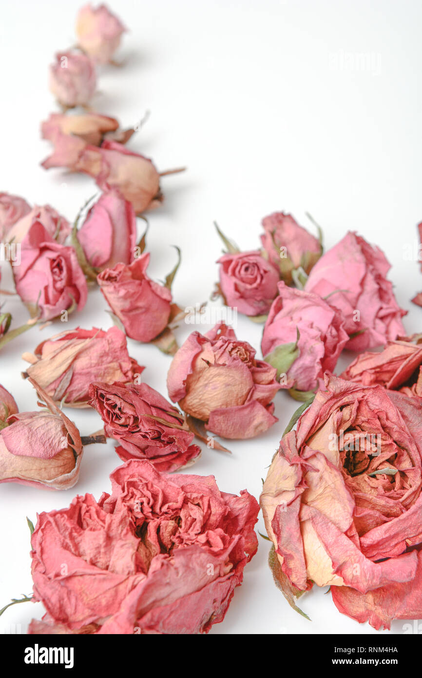 Dried flower still life with rose flowers Stock Photo - Alamy