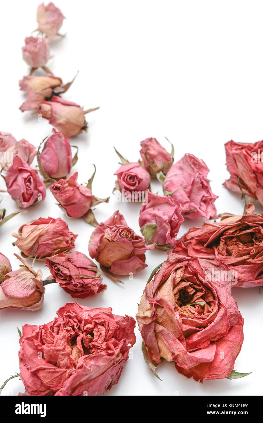 Dried flower still life with rose flowers Stock Photo - Alamy