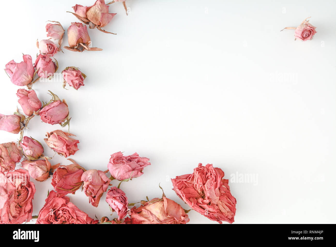 Dried flower still life with rose flowers Stock Photo - Alamy