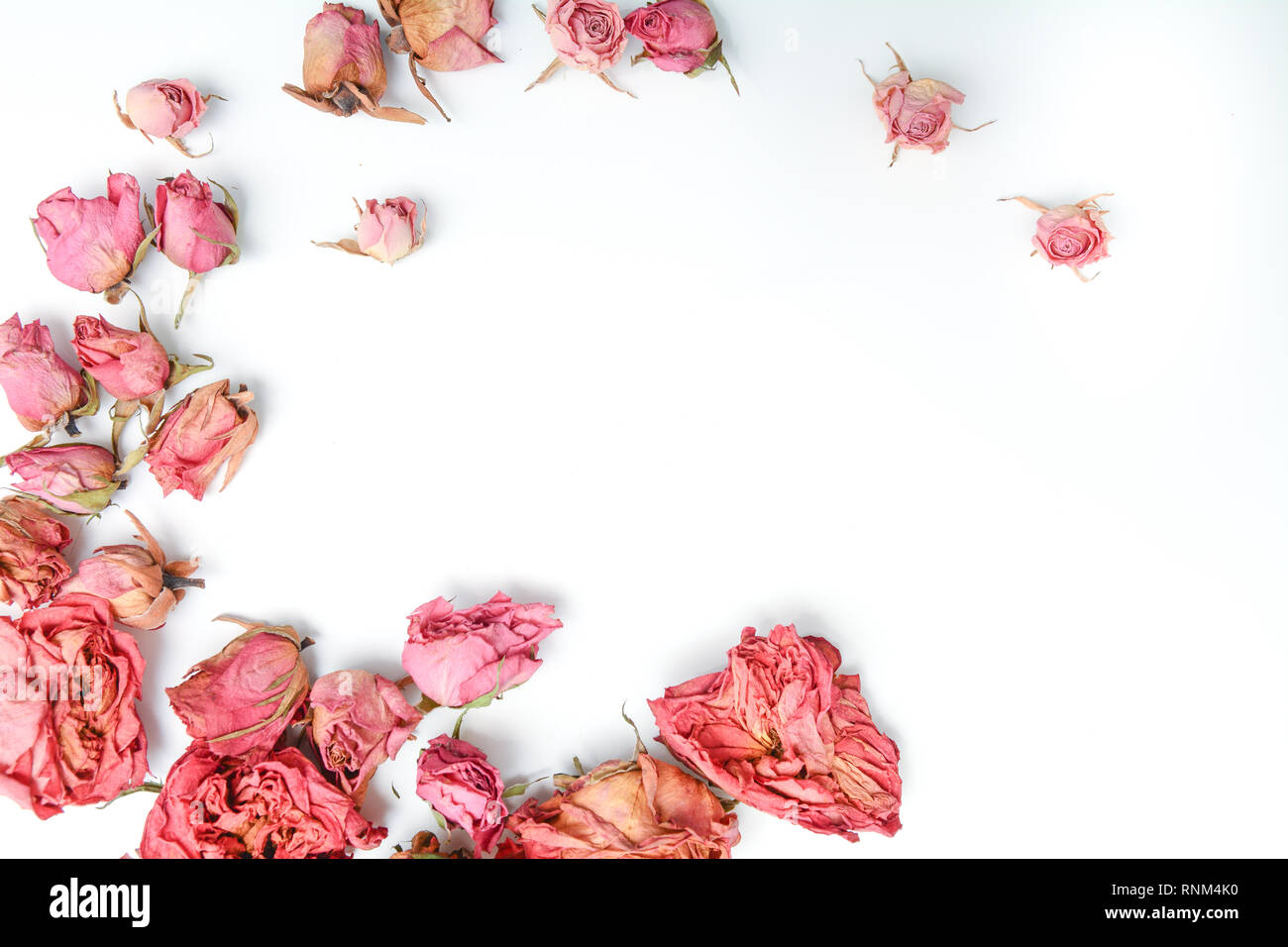 Dried flower still life with rose flowers Stock Photo - Alamy
